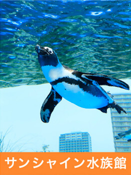 サンシャイン水族館